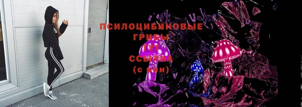 MESCALINE Аркадак