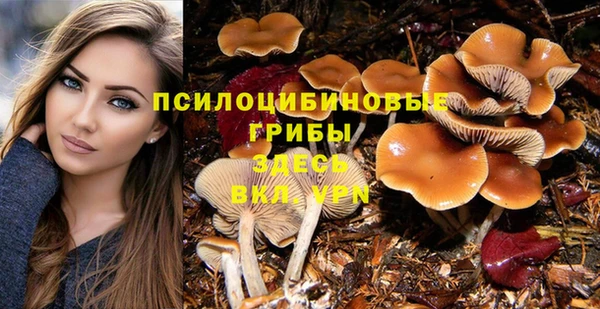ALPHA-PVP Нефтегорск