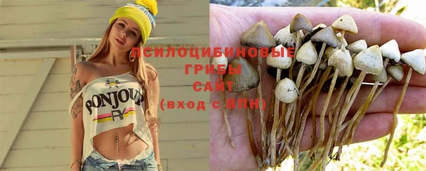 a pvp Армянск