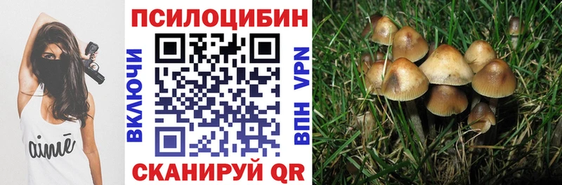 дарк нет какой сайт  купить наркотики сайты  Нижняя Салда  Псилоцибиновые грибы Psilocybe 